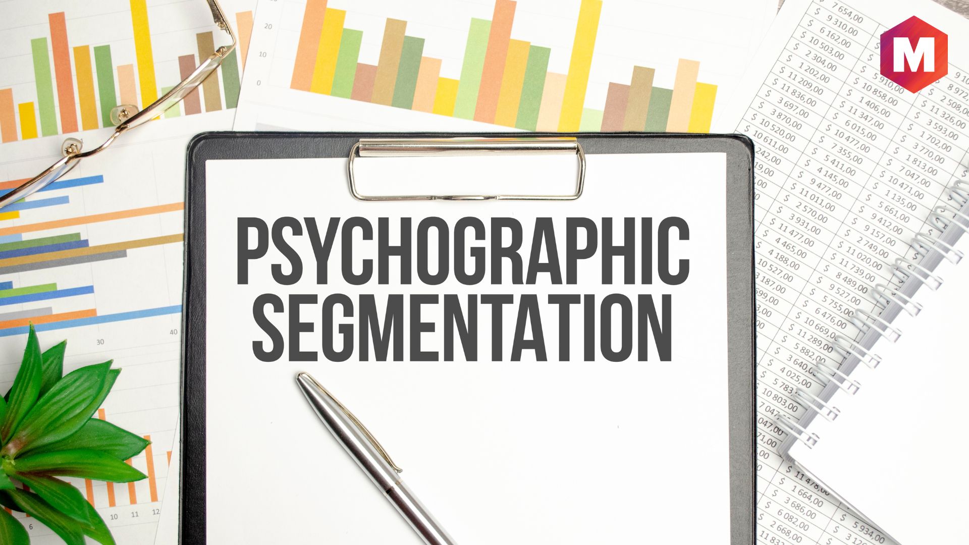 psychographics examples