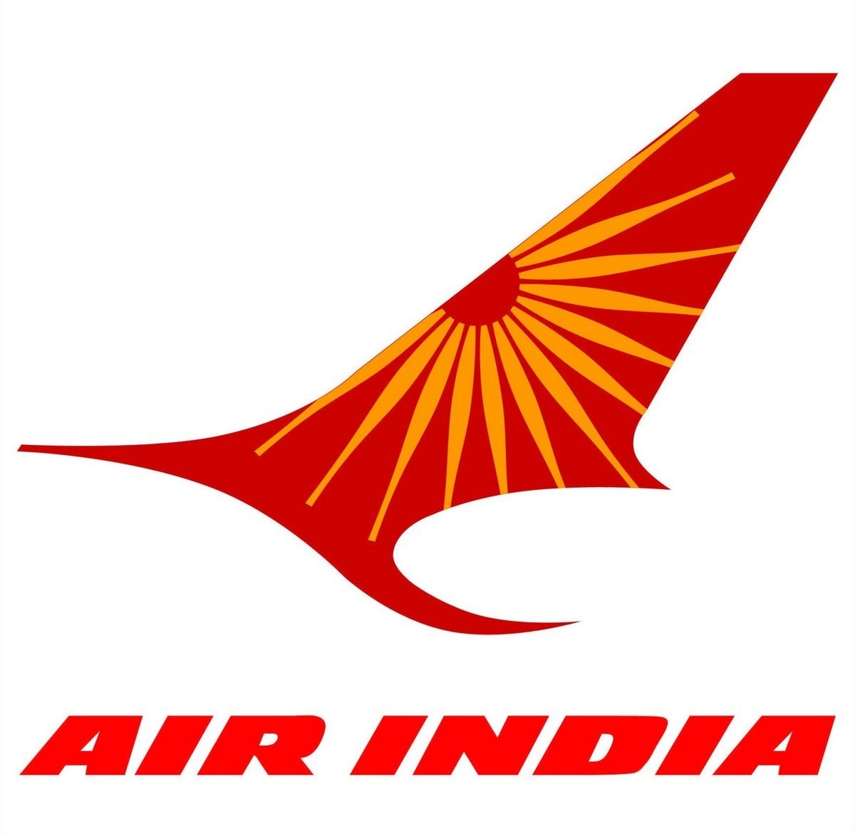 Marketing Strategy of Air India - 3