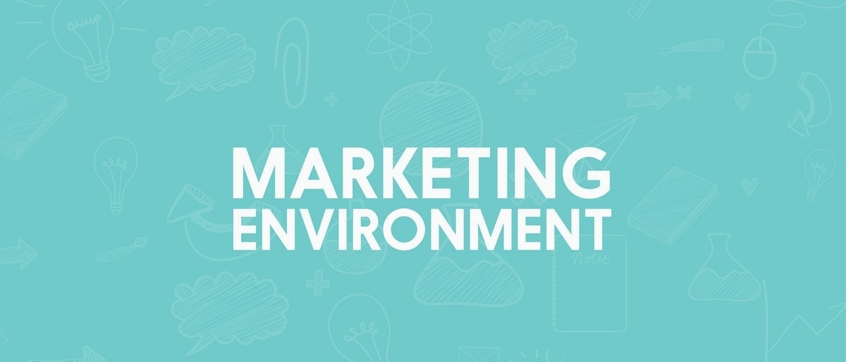 Importance of Marketing Environment - 3