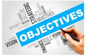 What is the Purpose Of a Website? Identifying Website Objectives