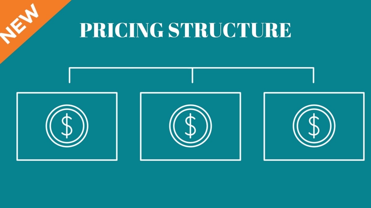 which section of the business plan outlines the pricing structure