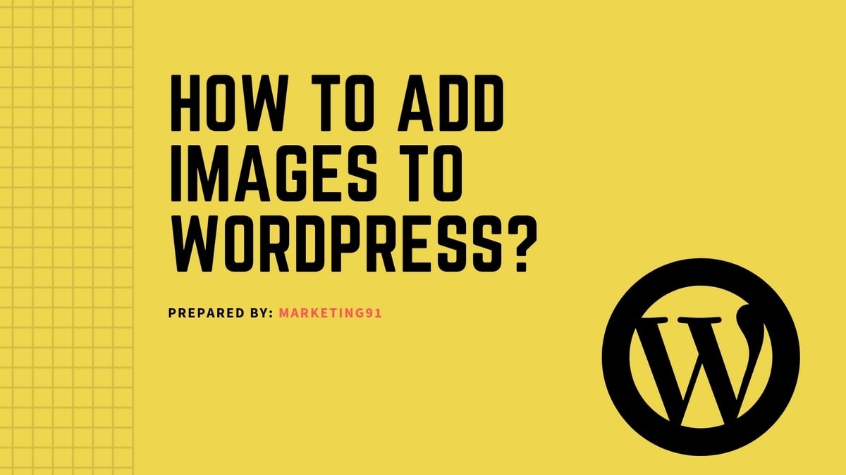 How To Add Images To WordPress? Wordpress Image Addition Steps