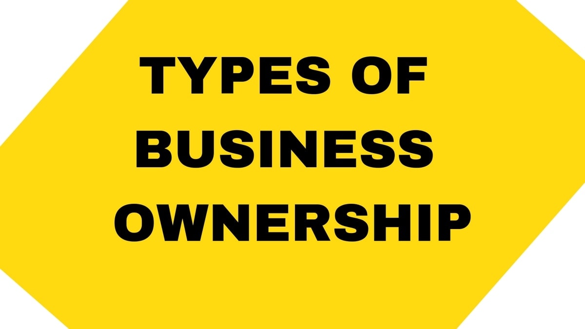 8 Main Types Of Business Ownership Best Business Ownership Classification