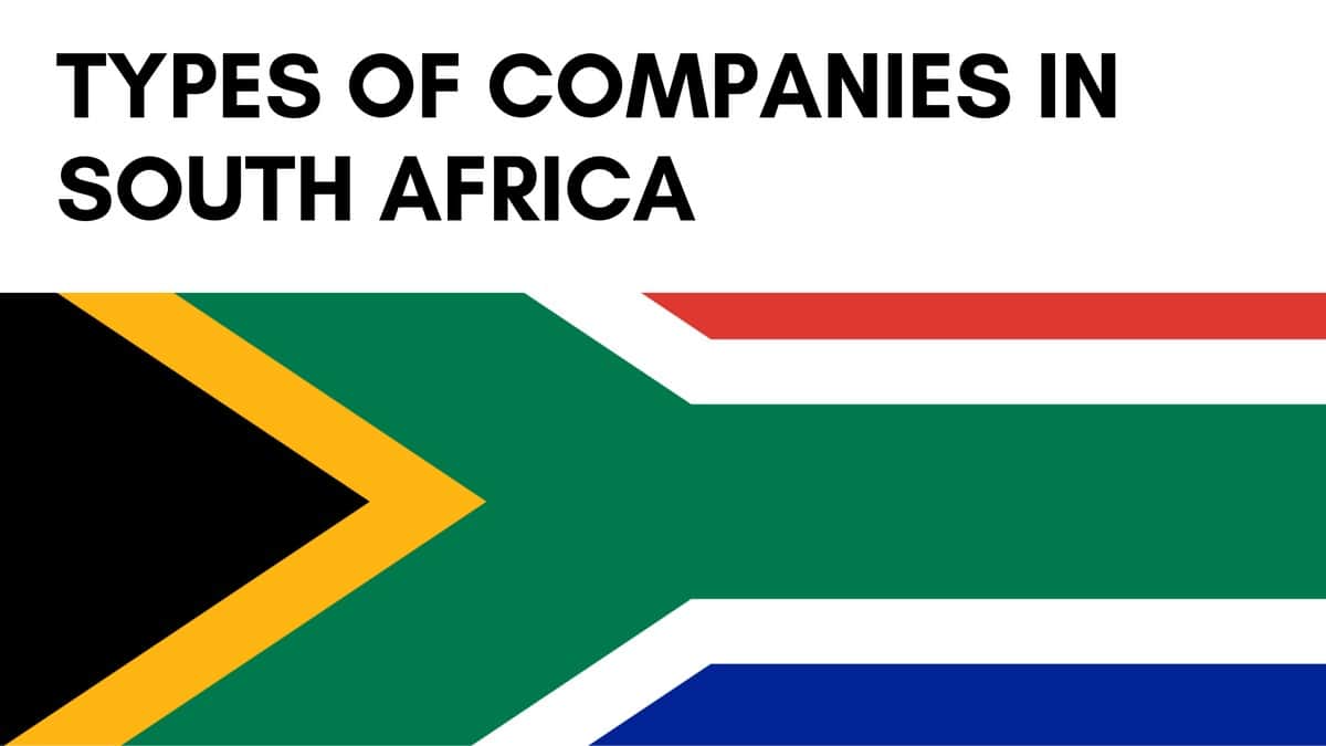 13 Types Of Companies In South Africa Based On Legal Structure