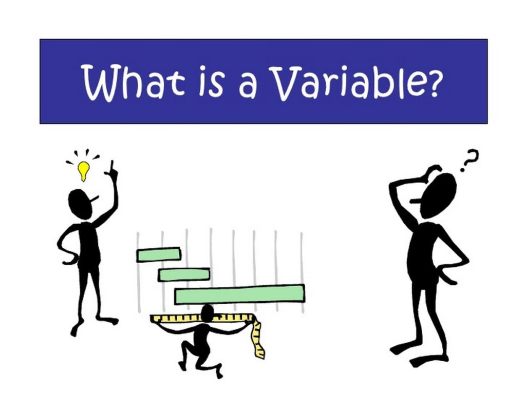 2-main-types-of-variables-used-in-marketing-strategies