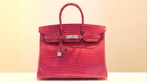 The Most Expensive Handbag In The World