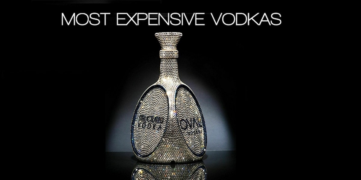 Best Expensive Vodka Brands 2024 AtOnce
