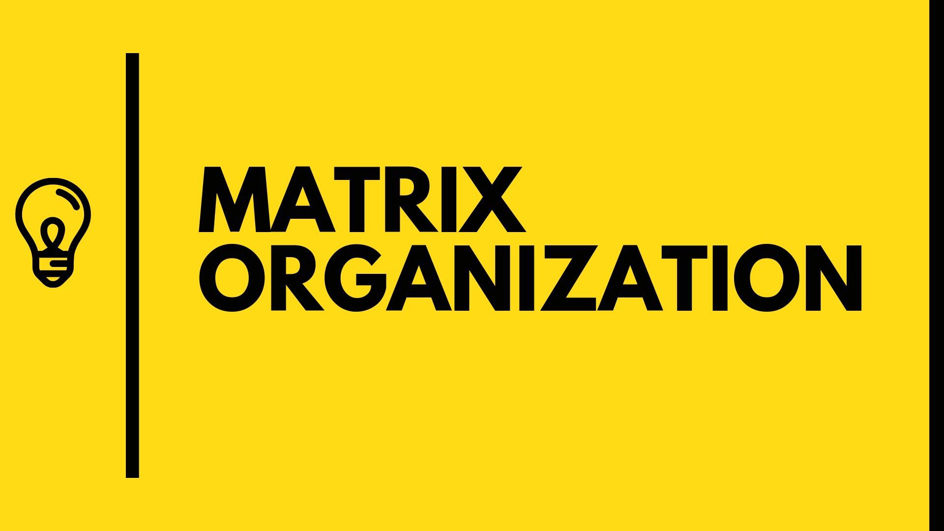 What is Matrix Organization