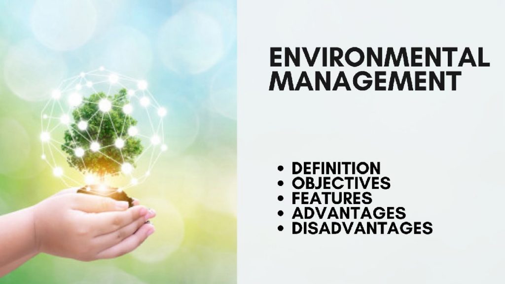 What Is Environmental Management Definition