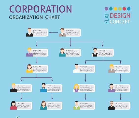 Organisational Design - Definition, Meaning and Examples