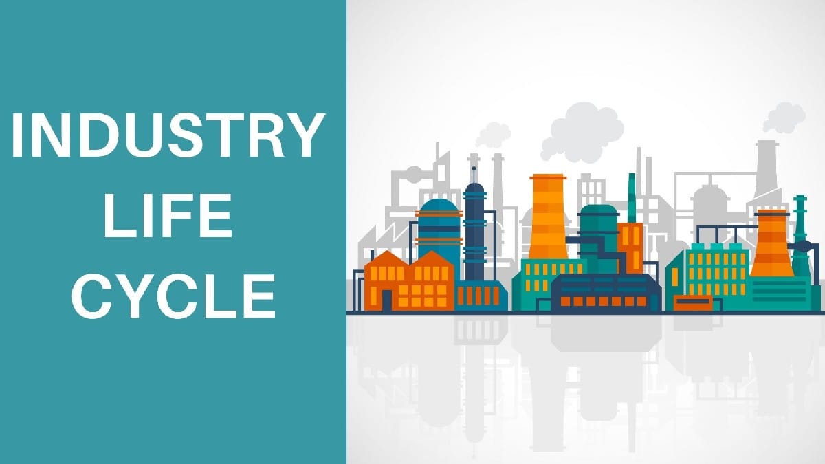 Industry Life Cycle Stages Of Industry