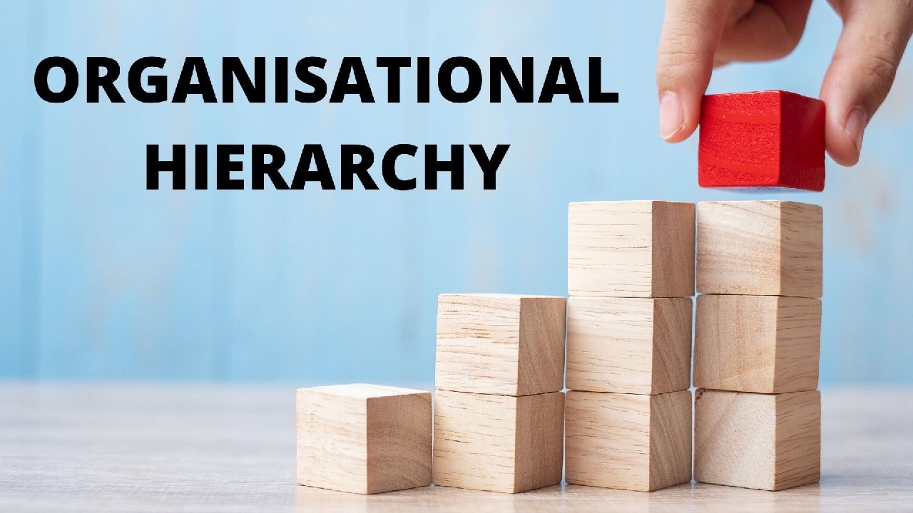 Organisational Hierarchy Definition Meaning Examples Advantages