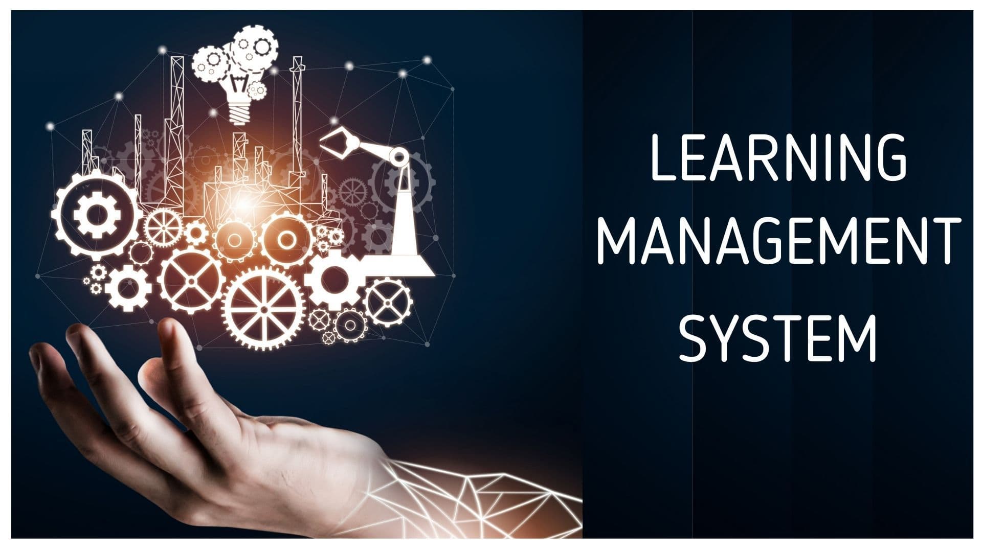 Learning Management System LMS Overview Features Marketing91