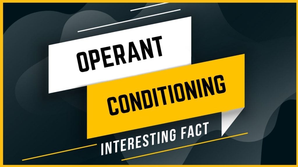 operant-conditioning-meaning-concepts-and-examples