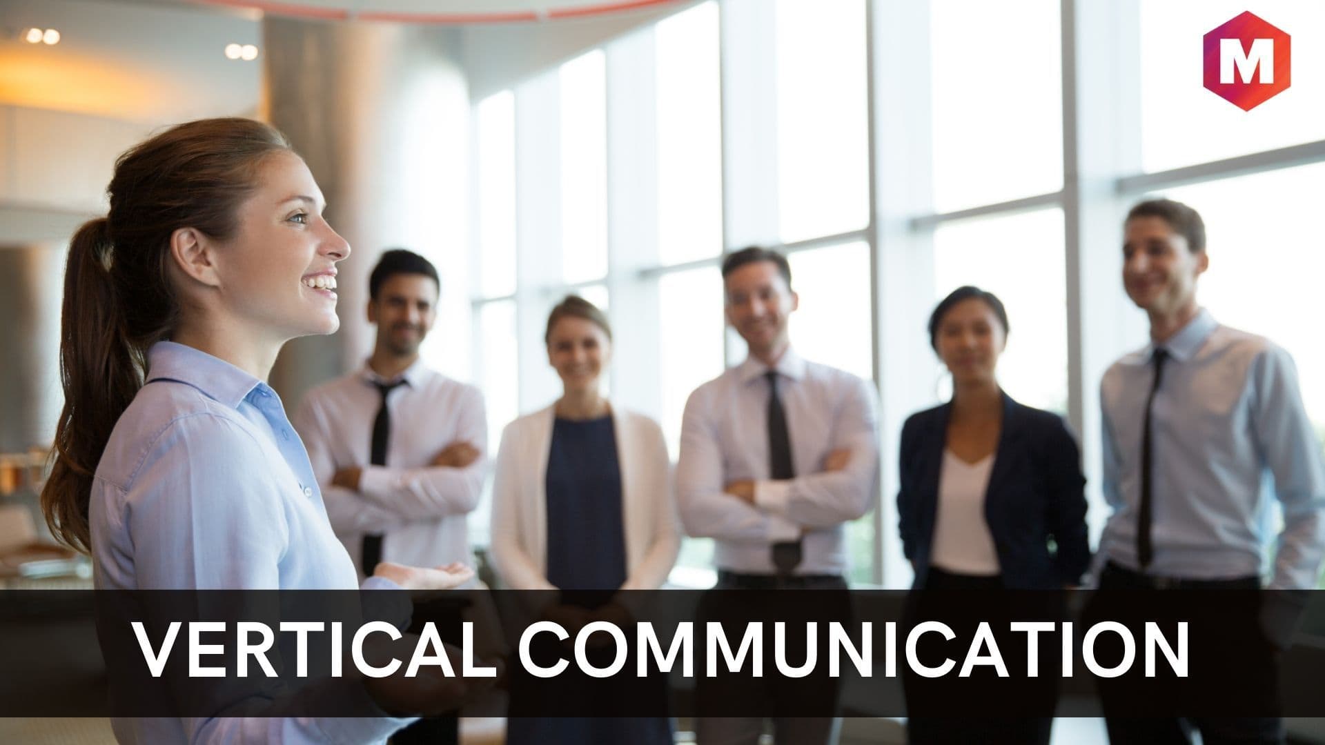 Vertical Communication Definition Types Advantages And 