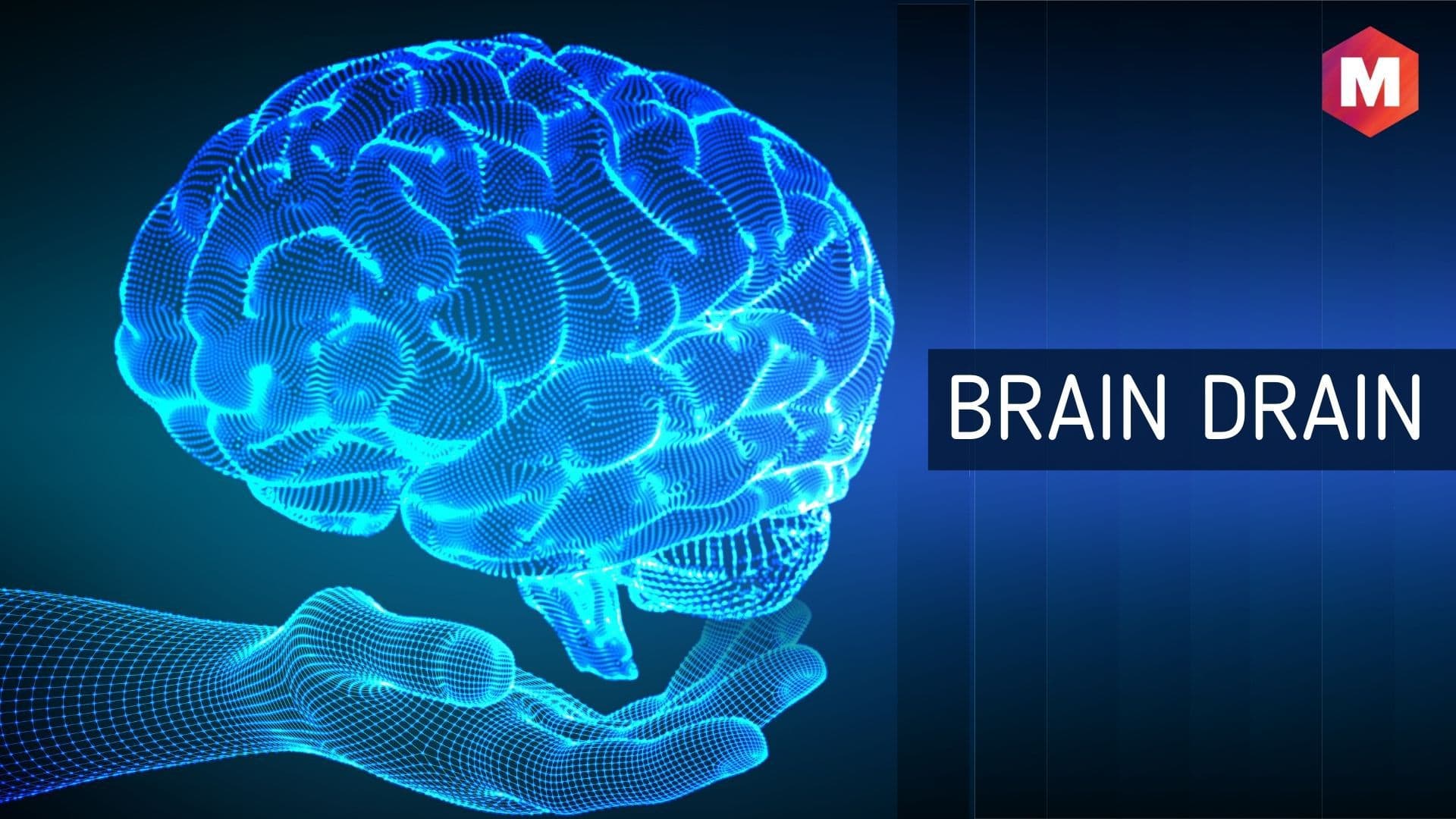 Types Of Brain Drain Best Drain Photos Primagem Org