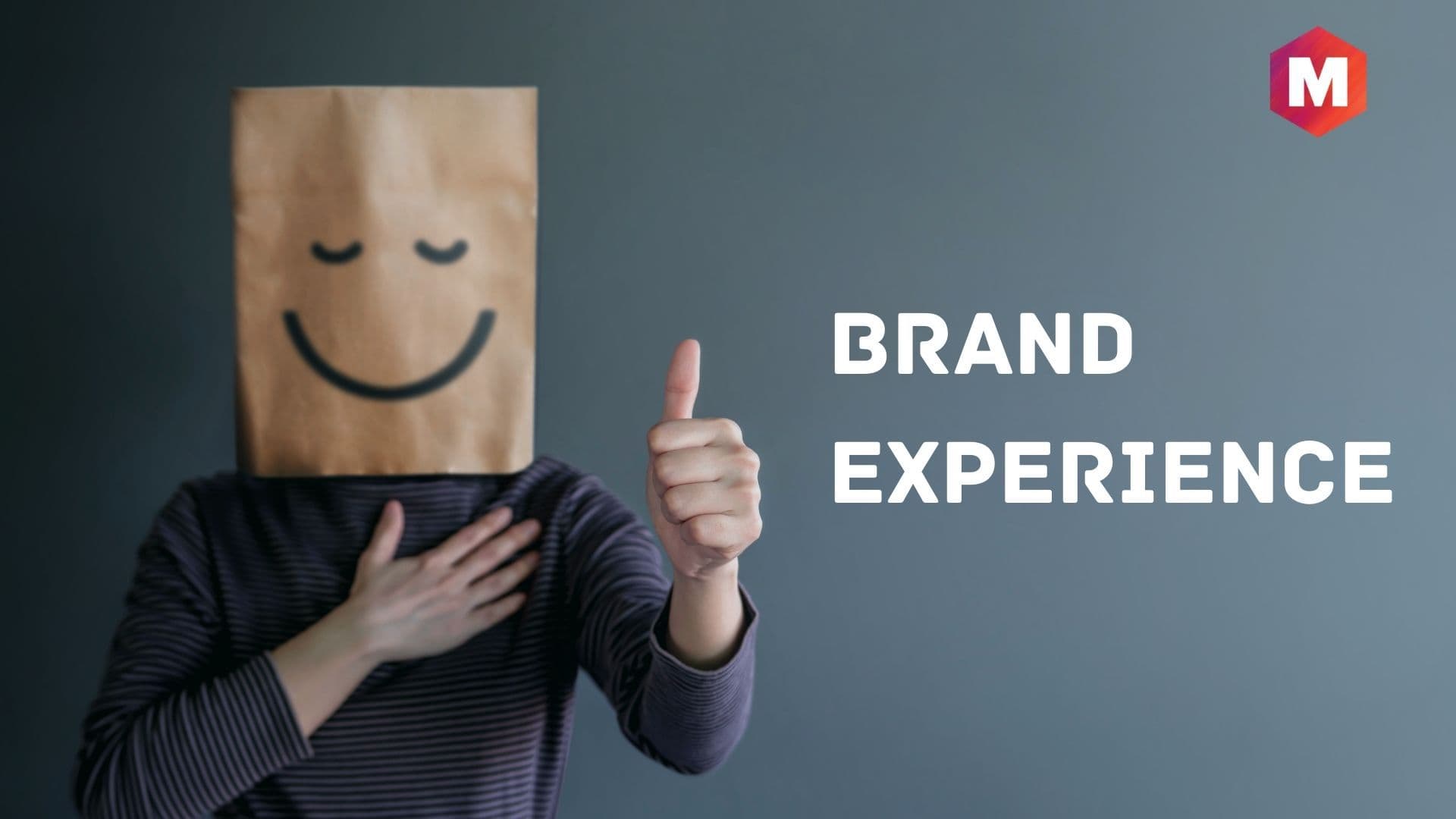 thesis brand experience