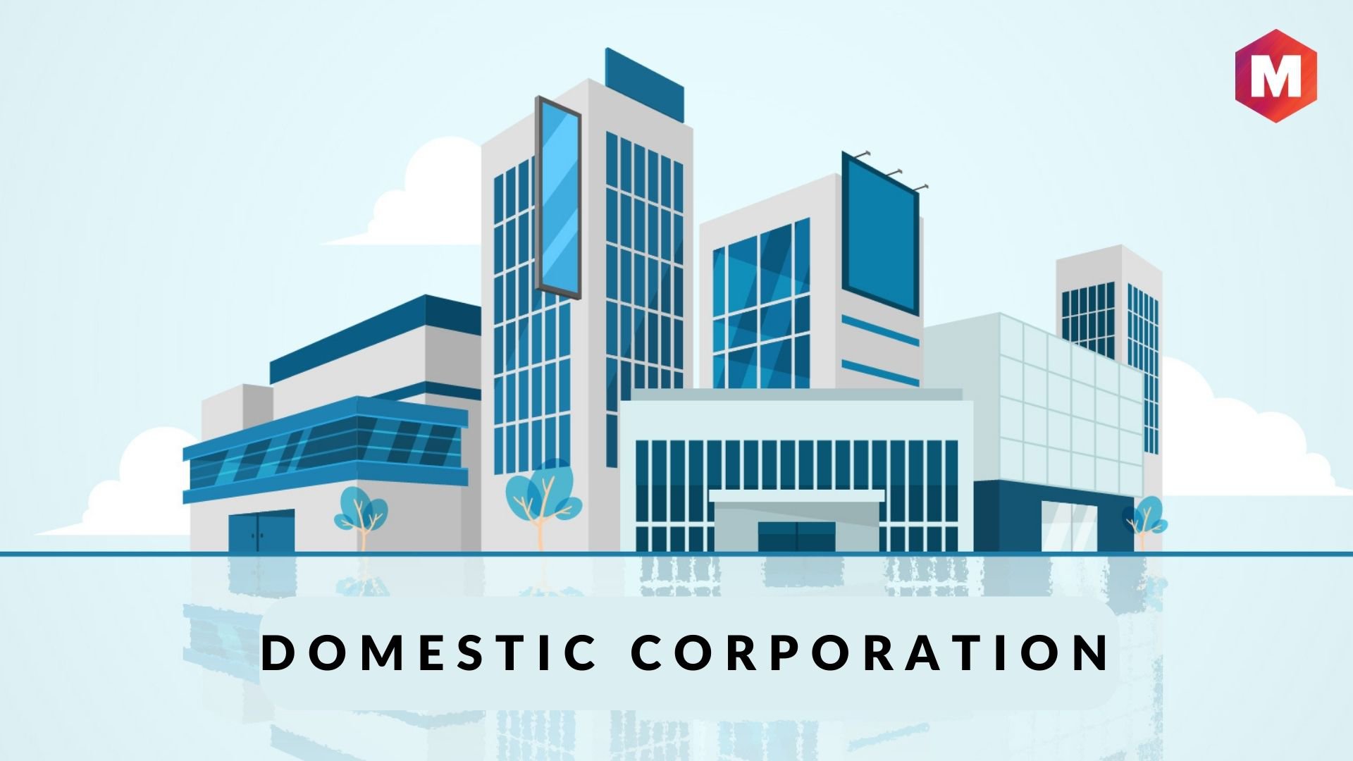 Domestic Corporation Definition Types Advantages And Examples 