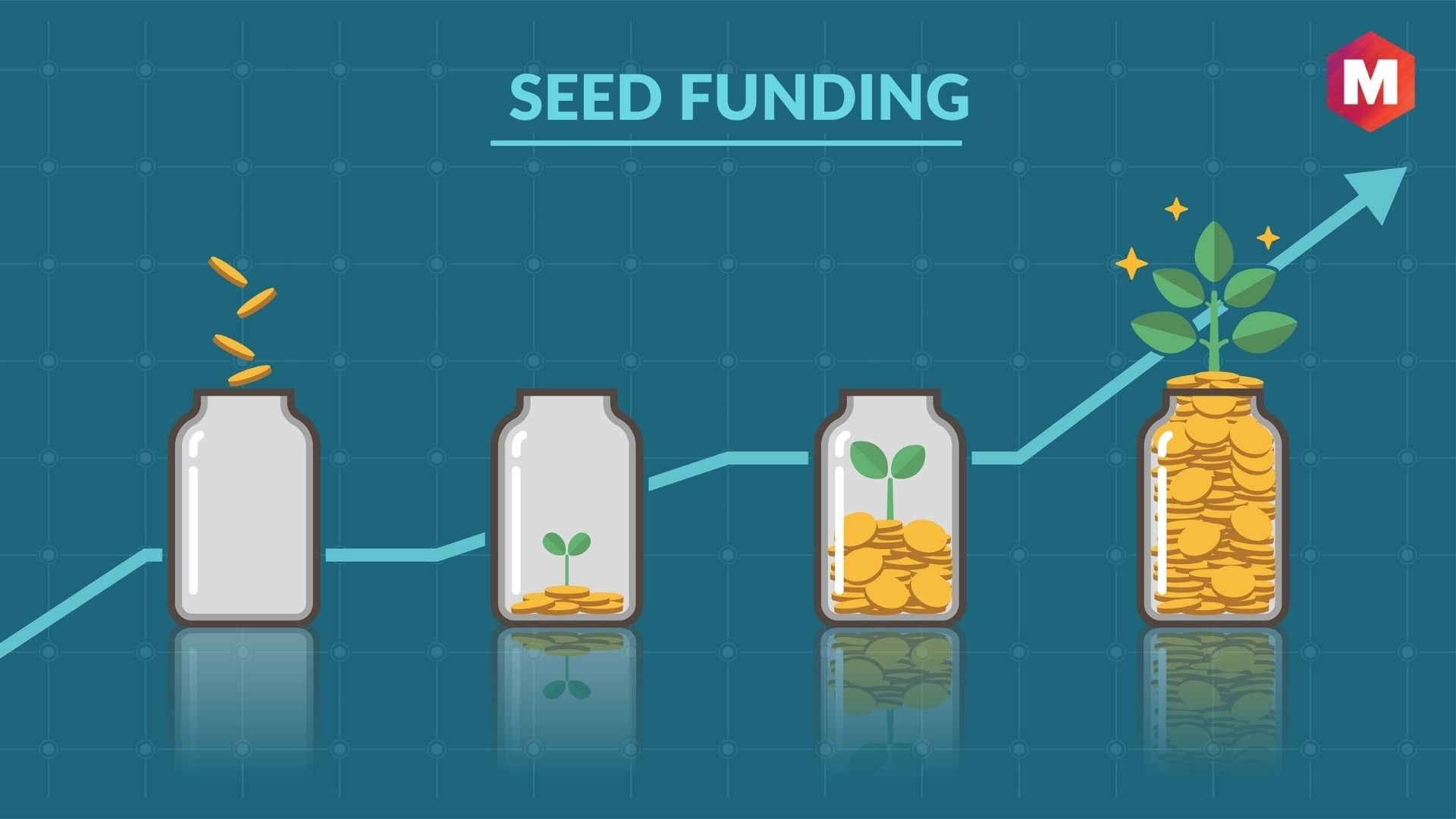 Seed Funding Meaning, Process and 7 Steps Marketing91