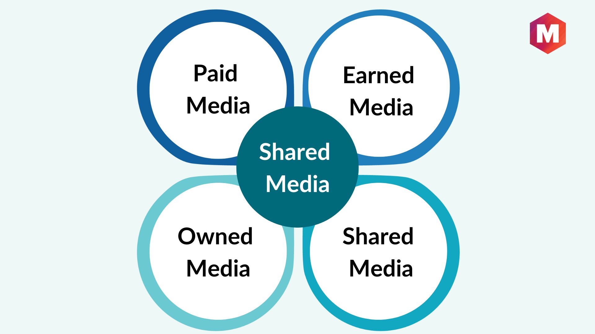 Shared Media