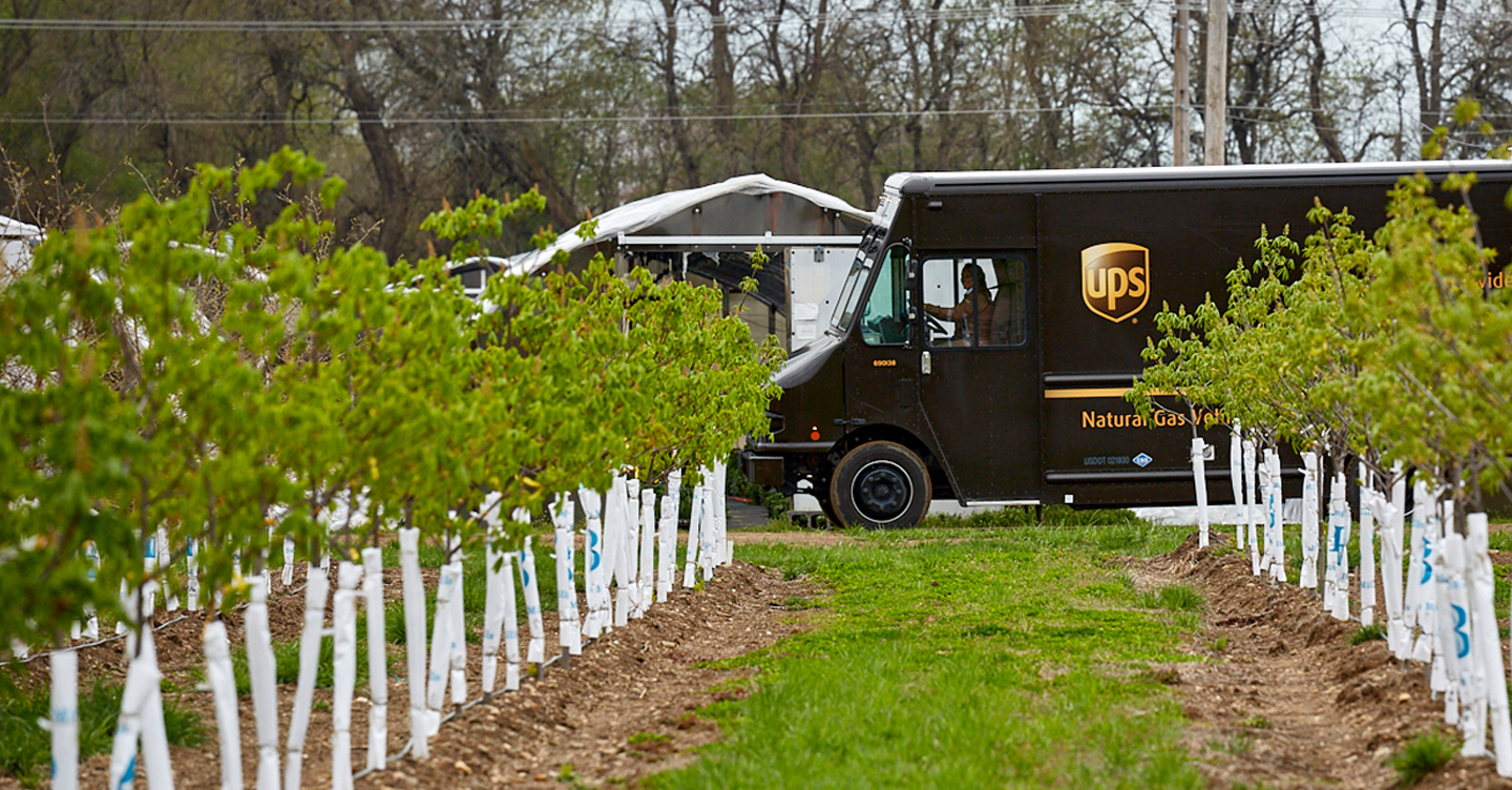 Ups company